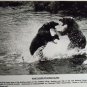 Giant Bears of Kodiak Island 1994 photo 8x10 national geographic