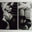 Bliss 1997 press photo 8x10 craig sheffer cheryl lee