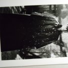 Anna Karenina 1997 photo 8x10 sean bean AK-23