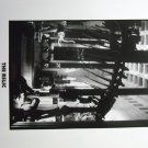 The Relic 1996 photo 8x10 penelope ann miller 538