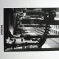 The Relic 1996 photo 8x10 penelope ann miller 538