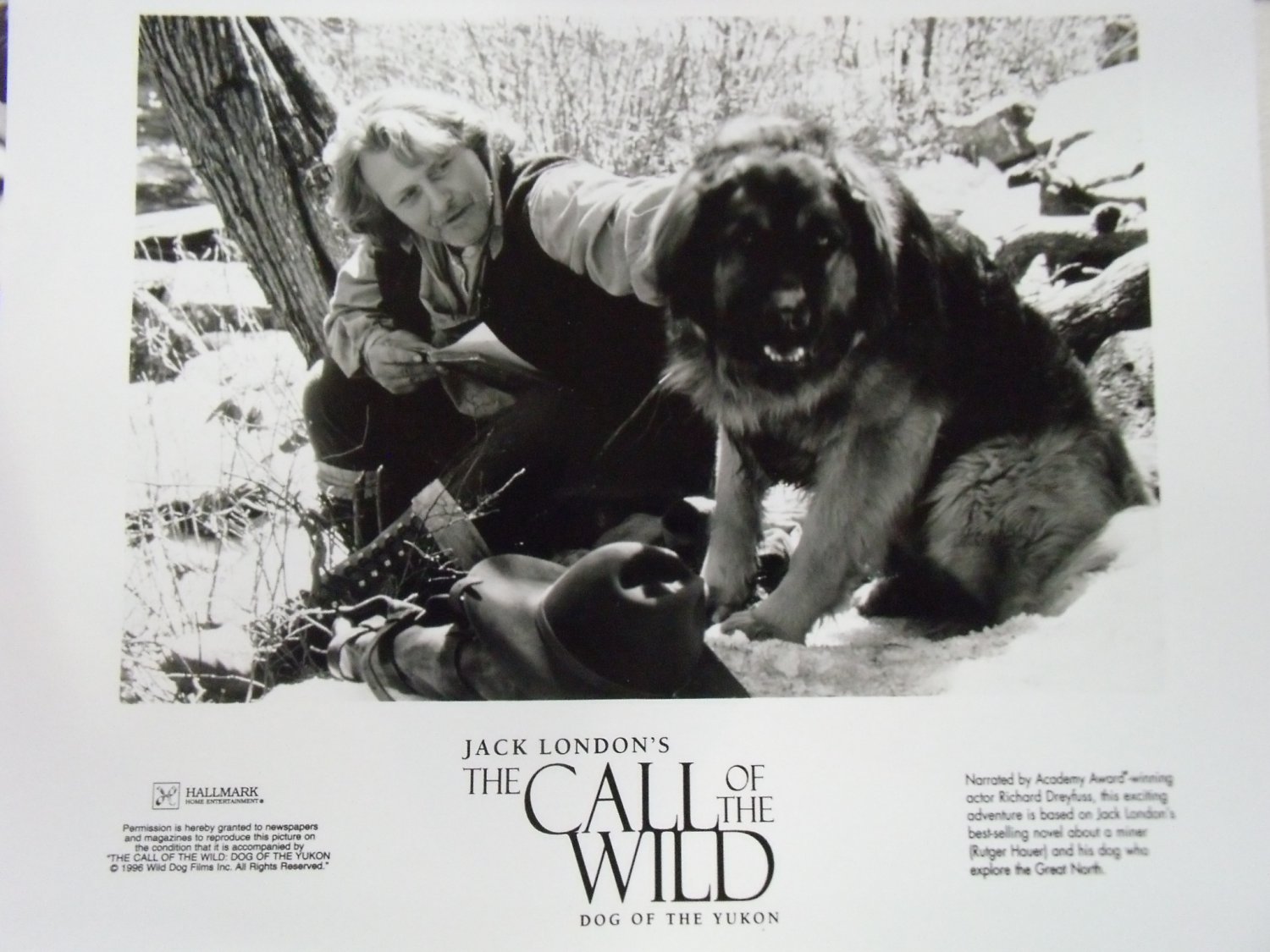The Call Of The Wild Dog Of The Yukon 1997 Photo 8x10 Rutger Hauer 1996