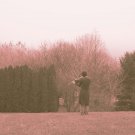 Song for the Tree Spirits