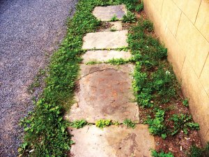Walk Softly