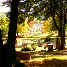 A Peaceful Place
