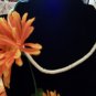 NWOT 16” Cultured Fresh Water Pearl Necklace