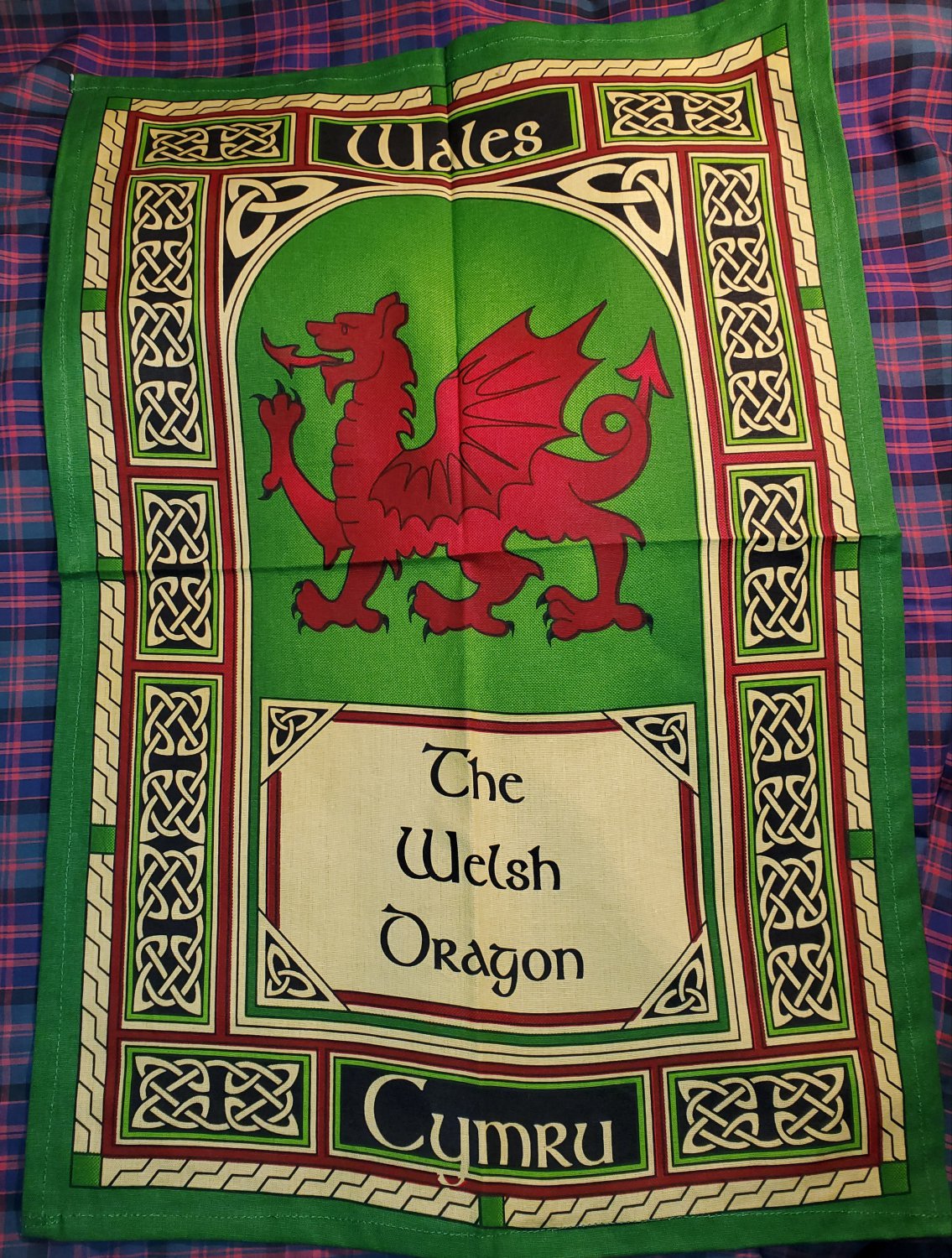 Welsh Dragon Window Tea Towel