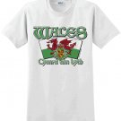 Wales Arched T-shirt - SMALL