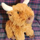 Highland Cow (Coo)