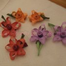 DAFFODIL [you choose color] | CLIPPIE