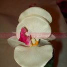 FLOWER PEN [3]