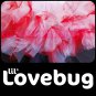 LIL' LOVEBUG | YOUTH girls petitu tutu