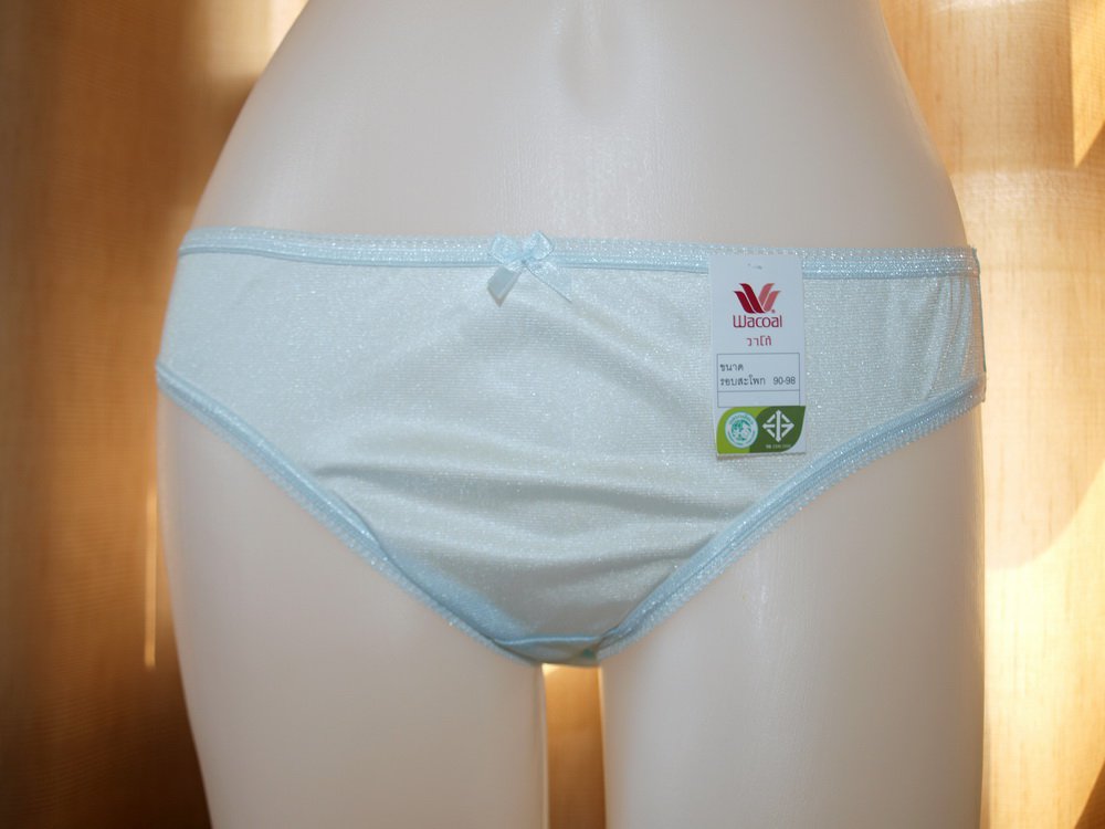 NWT WACOAL SOFT&SHEER NYLON BIKINI PANTIES, UNDERWEAR, LIGHT BLUE