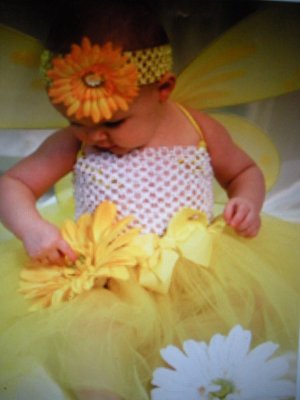 Designer Tutu Gift Set w/ Pixie Wings- Many Colors & Sizes Available