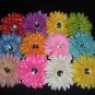 4" Gerber Daisy Hair Clip