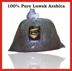 Pure Kopi LUWAK Green Unroast JAVA ARABICA Coffee Beans - Sell Fast 44 lbs