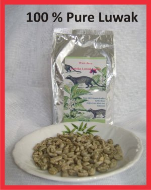 Pure Kopi LUWAK Green Unroast JAVA ARABICA Coffee Beans 2 lbs