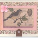 Vintage Birds Card Set