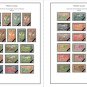 COLOR PRINTED FRENCH GUIANA 1886-1947 STAMP ALBUM PAGES (24 illustrated pages)