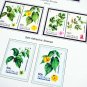 COLOR PRINTED CHRISTMAS ISLAND 2011-2020 STAMP ALBUM PAGES (55 illustrated pages)
