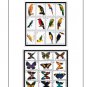 COLOR PRINTED NETHERLANDS ANTILLES 1973-2010 STAMP ALBUM PAGES (237 illustrated pages)