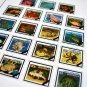 COLOR PRINTED AUSTRALIA 1976-1990 STAMP ALBUM PAGES (63 illustrated pages)