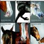 COLOR PRINTED NETHERLANDS 2021 STAMP ALBUM PAGES (19 illustrated pages)