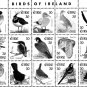 IRELAND 1922-2010 + 2011-2020 STAMP ALBUM PAGES (336 PDF b&w illustrated pages)