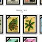 COLOR PRINTED CUBA 1970-1980 STAMP ALBUM PAGES (107 illustrated pages)