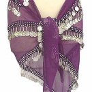 Purple Belly Dancing Hip Scarf 4 Lines