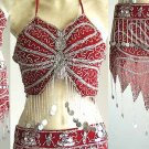Belly Dancer Costumes Maroon Dress AS Silver