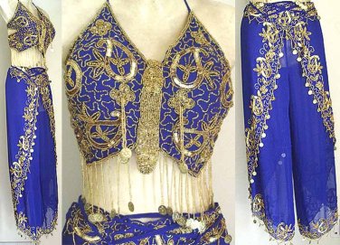 Harem Pant Blue Belly Dancer Costume Dress B