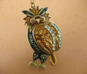 Beautiful owl necklace BZ11