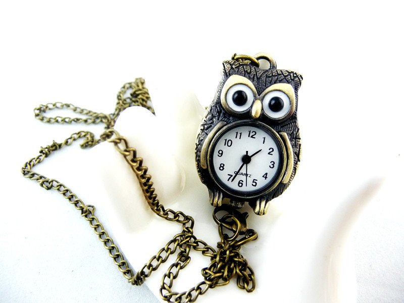 Owl necklace watch BZ6
