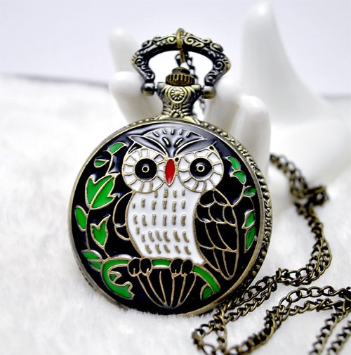 Beautiful owl watch necklace
