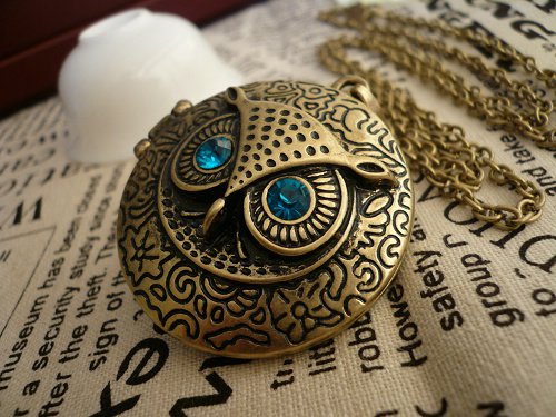 owl Round locket necklace