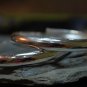Tibetan Silver Bangles set of 2