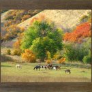 8 X 12 Narrow (1.5") Barnwood Rustic Frame