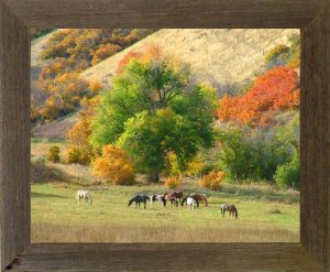 8 X 16 Narrow (1.5") Barnwood Rustic Frame