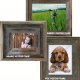 Western Frames