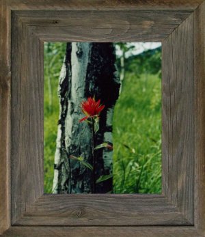 11 X 17 Wide Western Picture Rustic Frames