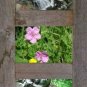 Vertical Barnwood Panel Frames for (5) 4" X 6" Pictures