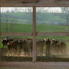2" Barn Window Picture Frames for (4) 8 X 10 s