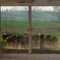 2" Barn Window Picture Frames for (4) 8 X 10 s