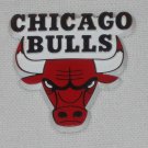 Vintage 80s 90s NBA Chicago Bulls Rubber Standing Board Magnet 1½ in x 1½ in