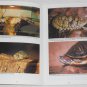 General Care and Maintenance of Red-Eared Sliders by Philippe de Vosjoli 1997 PB