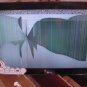 LG 32LD450 32" 1080p HD LCD TELEVISION DEFECTIVE PLEASE READ BELOW