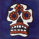 talavera tiles