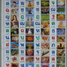 Thai Alphabet Consonant Vowel Number Poster Learn Study