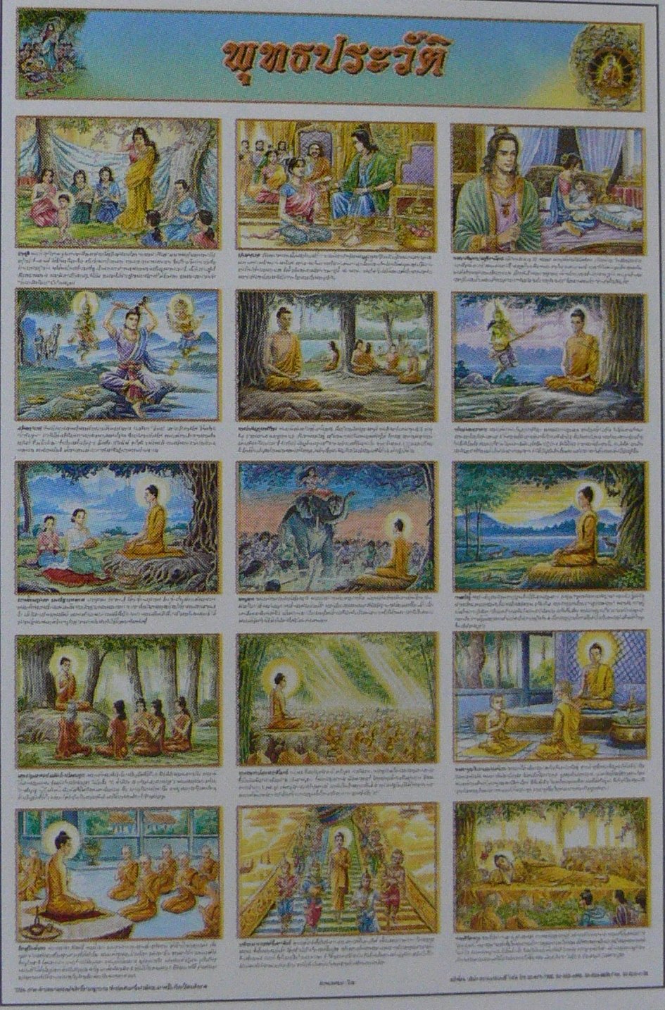 Buddha Chronology Buddhism History Education Poster Collection Gift Meditation